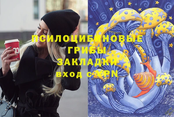 мдпв Беломорск