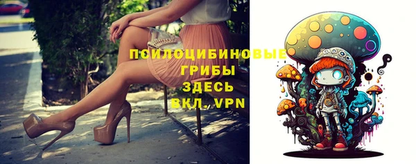 не бодяженный Белокуриха